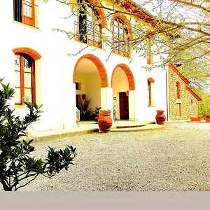 Bacco A Petroio , Vinci Italie